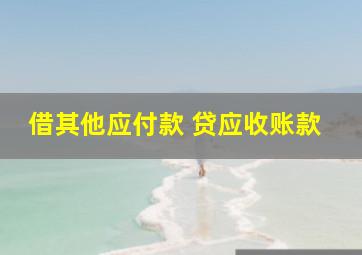 借其他应付款 贷应收账款